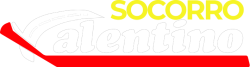 Novo Projeto